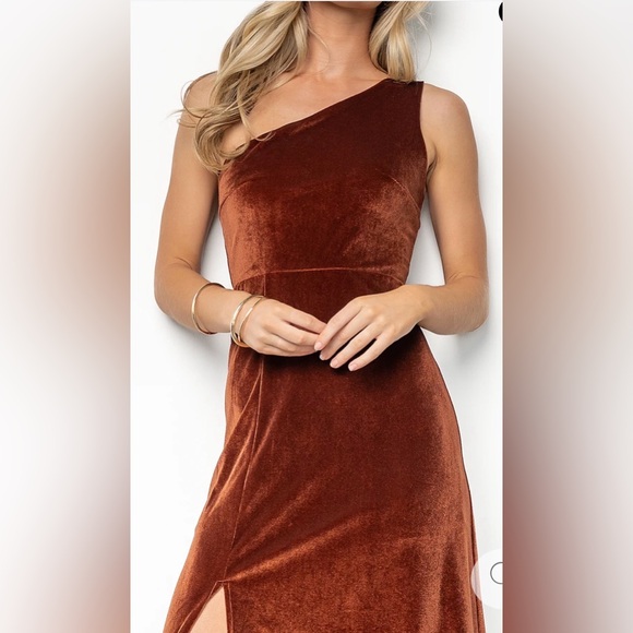 Baltic Born Elegant One-Shoulder Brown Velvet Dress - Picture 7 of 7